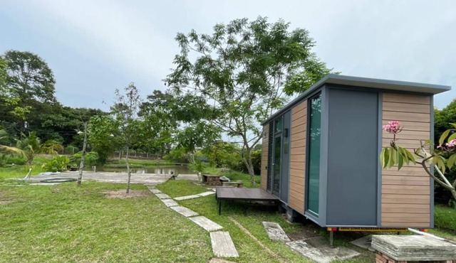 Paku Pakis Tiny Stay