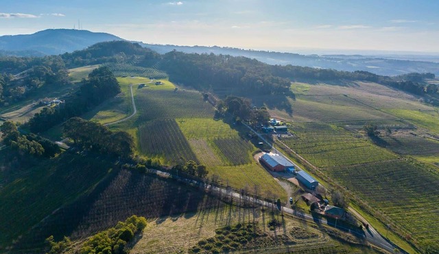 Panoramic Views on Pinnacle - 3 Bedroom Farm Stay in Canobolas