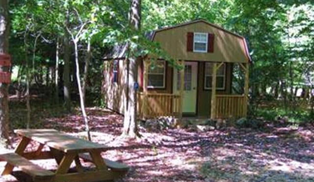 Private, Rustic Cabin Situated Near Hiking, Abrams Creek and Beautiful Scenery in Elk Garden