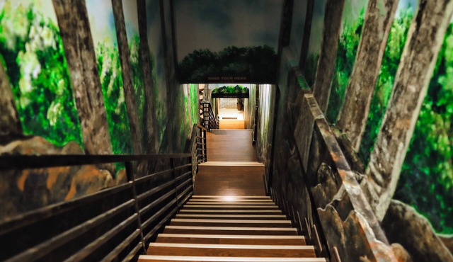 Rain Forest Hotel
