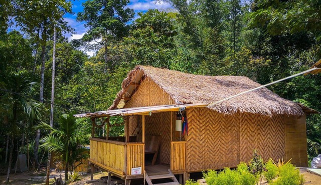 Rain Forest Inn