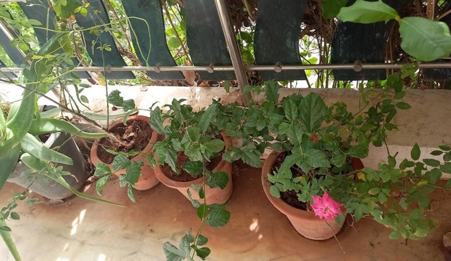 Raina's Home in Bhuj