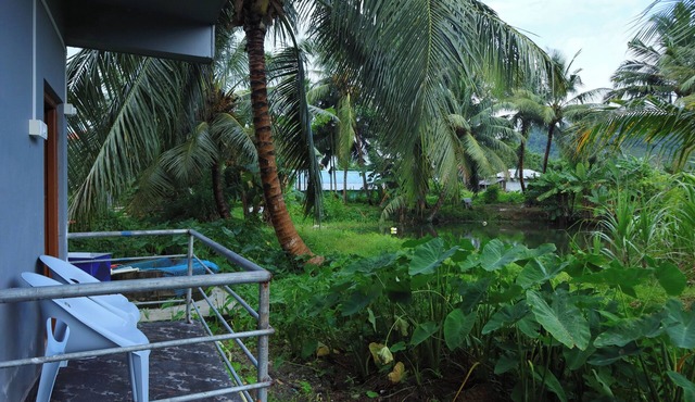 Raindrop Homestay | Pond View Room | Close to Beaches & Dive Spots