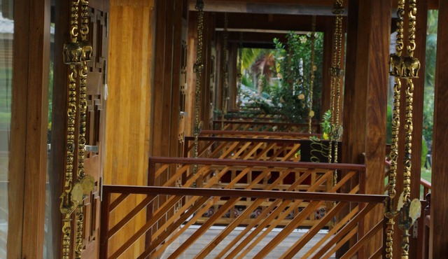 Rainforest Resort