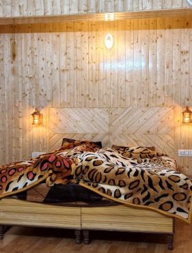 Raviza Homestay Naggar