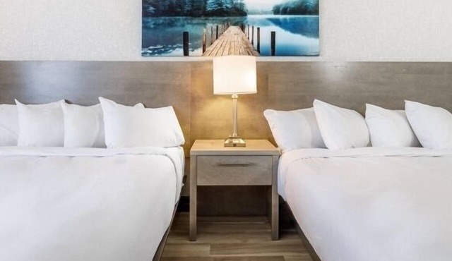 Repotel Levis in Levis