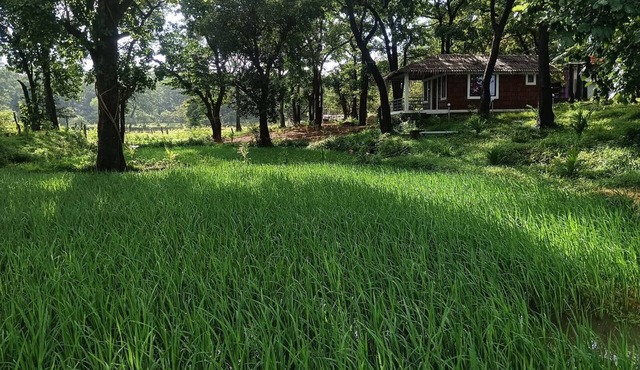 Room-cottage In Farm House Dandeli