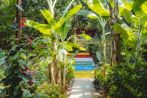 Samyama Retreat