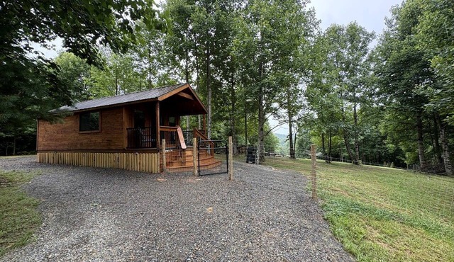 Secluded Studio Cabin with Fenced Retreat Near Blue Ridge Parkway | Meadows of Dan, Virginia in Meadows of Dan