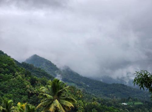 SenSac Paithalthattu Homestay