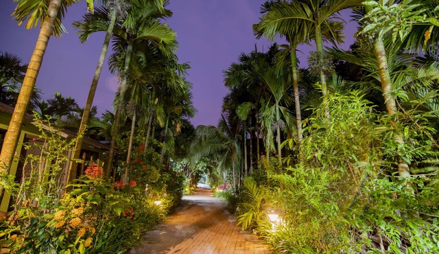 Silvanus Forest Retreat