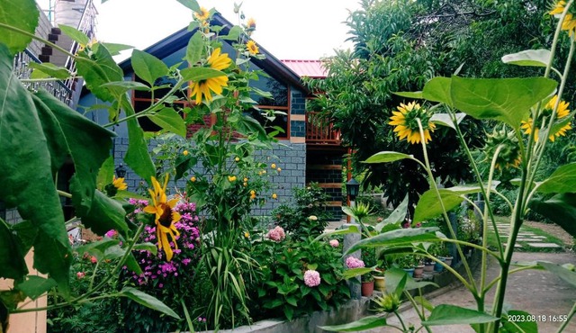 Soondhucottage&Homestay