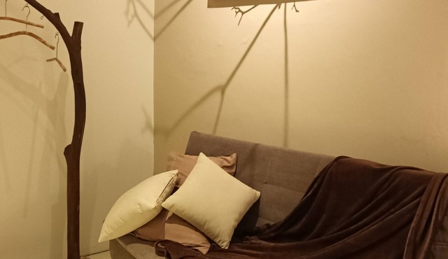 Spacious 4-bedroom prewar house in beautiful George Town with AC