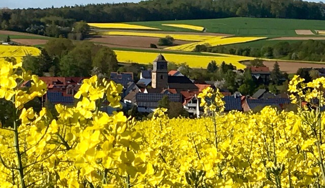 Spacious, comfortable apartment on the Little Red Riding Hood Cycle Path in Neukirchen