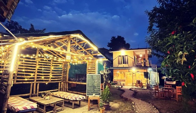 Sparrow House Bir