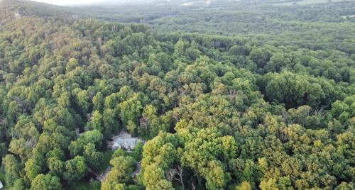 Stone Leaf Farm Private Nature Retreat with Pool, Waterfalls, Orchards & Gardens in Jefferson