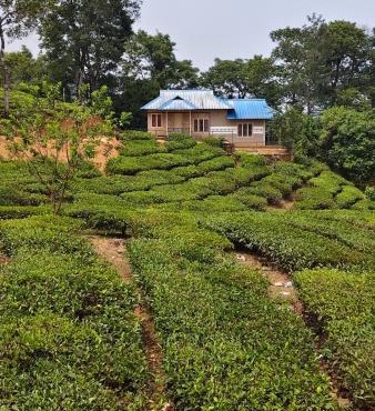 Tea Garden Cottage