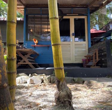 Ted Guesthouse