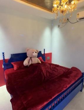 Teddy