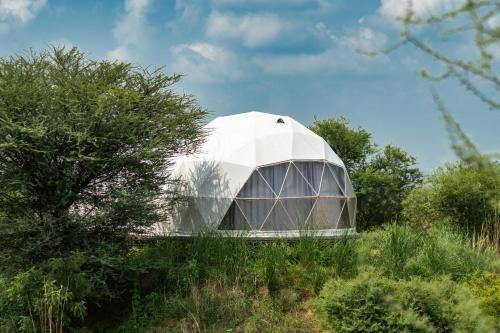 Teela- The Glamping Resort, Jaipur
