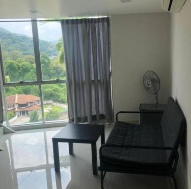 The Ceo Suites