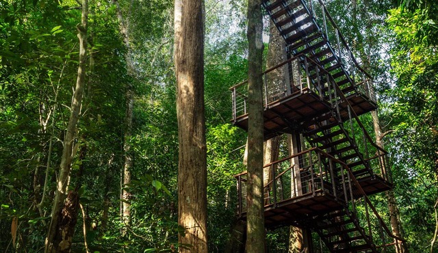 The Datai Langkawi