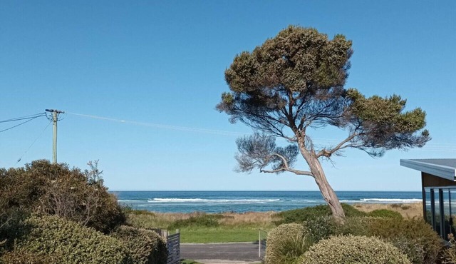 The Dunes - King Studio - 50m from Scamander Beach in Scamander