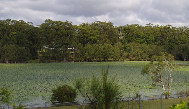 The Emerald Cottage retreat - close to beaches