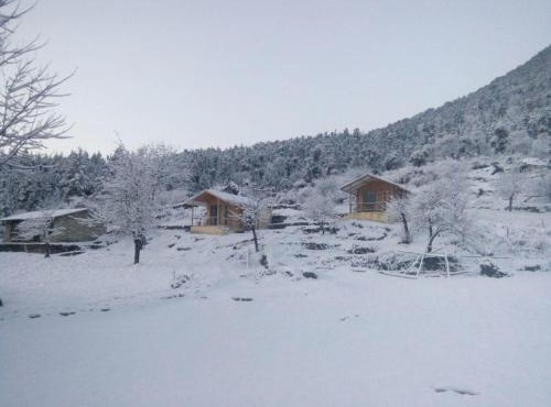The Goat Village Dayara Bugyal