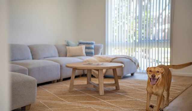 The Palms Beach House- Sauna, Pet-friendly, Beach!