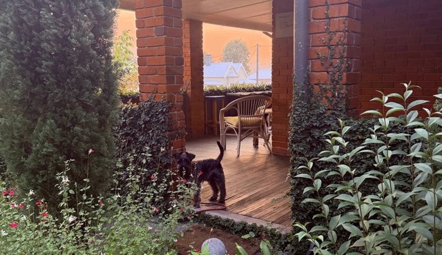 Towncottage Tenterfield Stay with Scenic Views