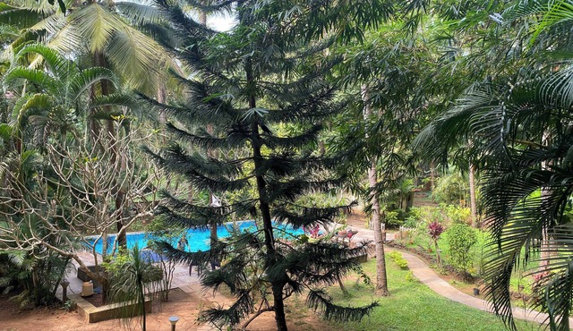 Tranquil 1BHK Garden Estate, Pool | Palolem Beach
