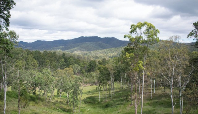 Tranquil secluded mountain chalet- perfect for relaxing! in Mount Byron
