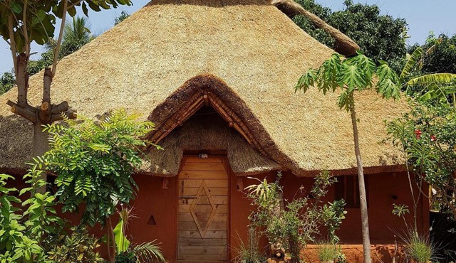 Tree and Mud House