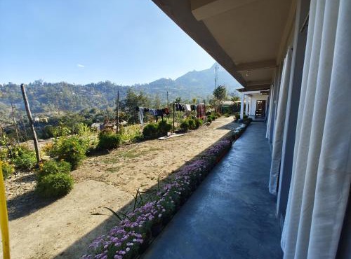 Vila's Homestay