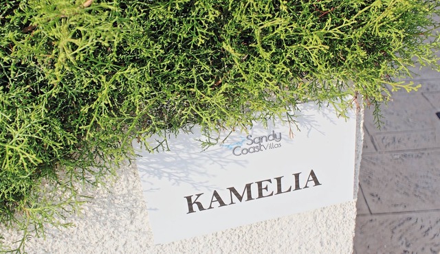 Villa Kamelia is a two bedroom villa with private pool very close the beach near Argaka in Argaka