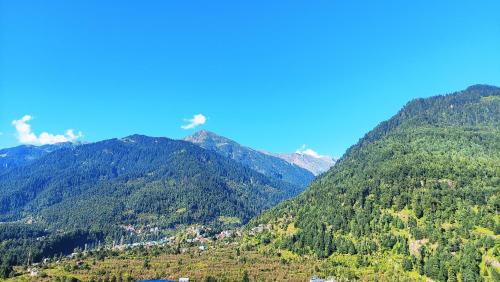 Wander Nest Manali Luxurious rooms with mountain and river view