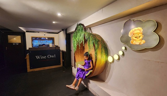 Wise Owl Comfotel