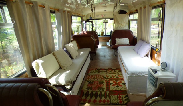 Yamba Hinterland bush retreat - Magic bus stay in Gurranang