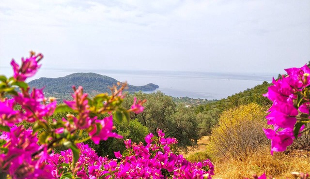 Zephyros Hotel in Datça