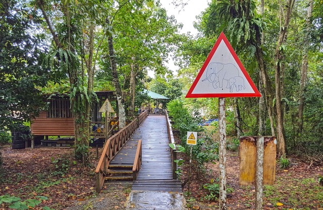 Borneo Nature Lodge 