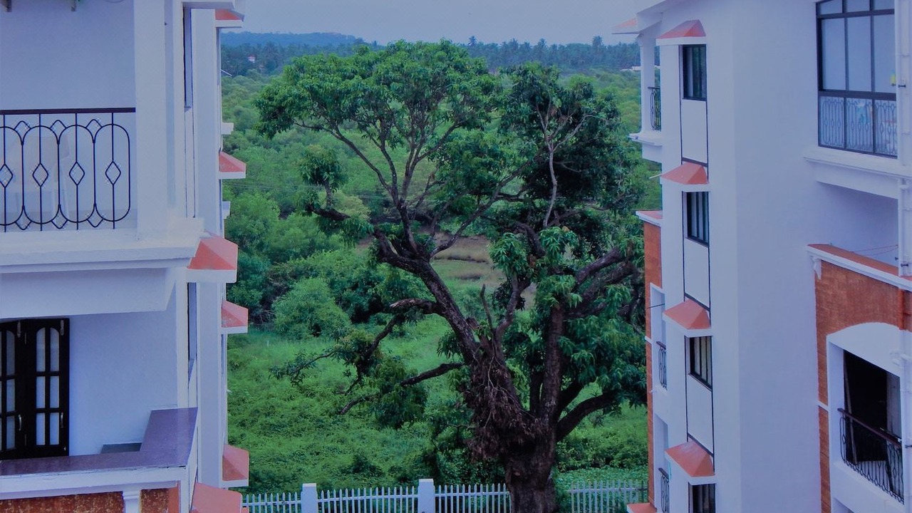 Photo of Buildings in Candolim