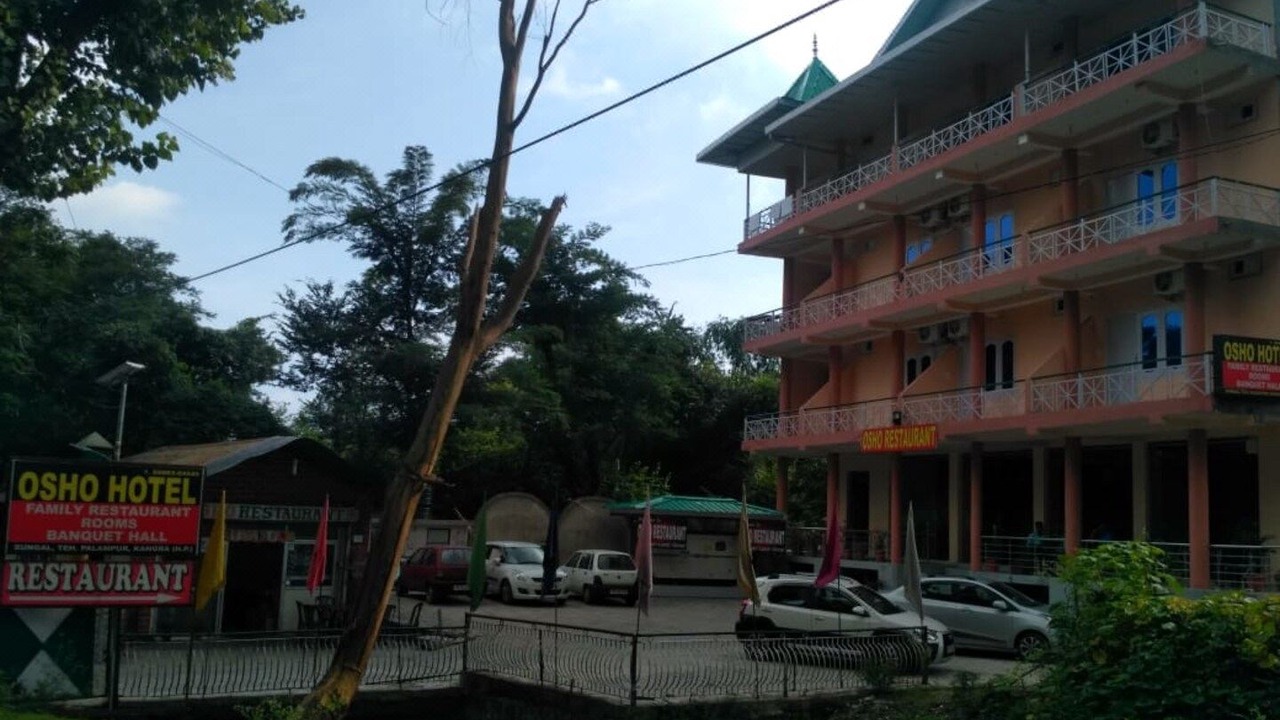 Photo of Buildings in Palampur