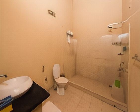 Photo of Bathroom in Virarajendrapet