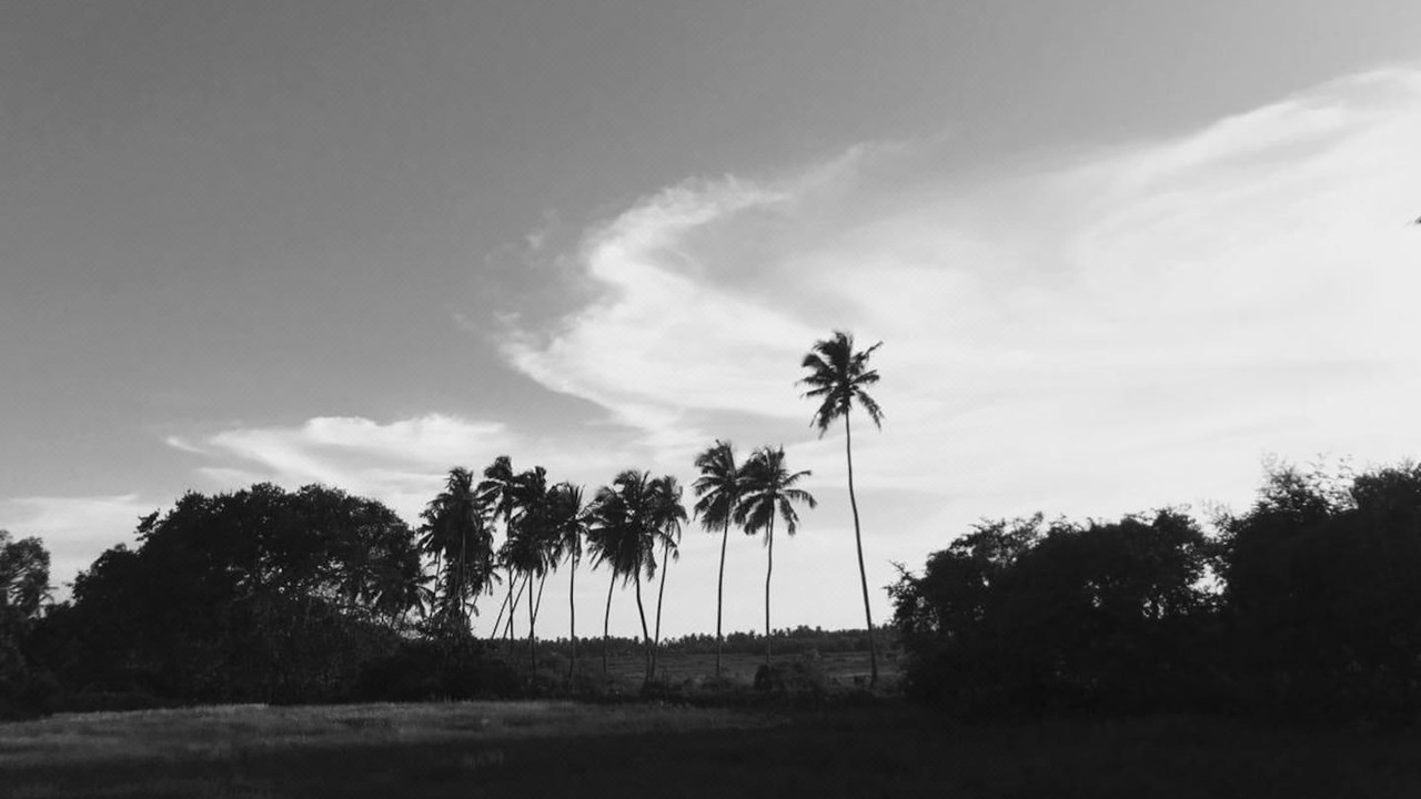 Photo of Others in Anjuna