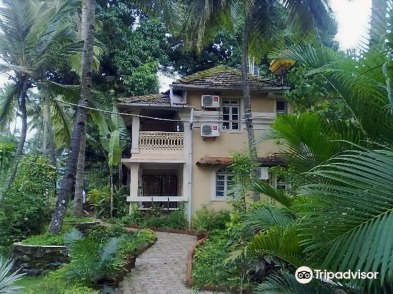 Photo of Buildings in Palolem