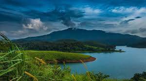 Photo of Others in Kalpetta