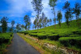 Photo of Others in Kalpetta