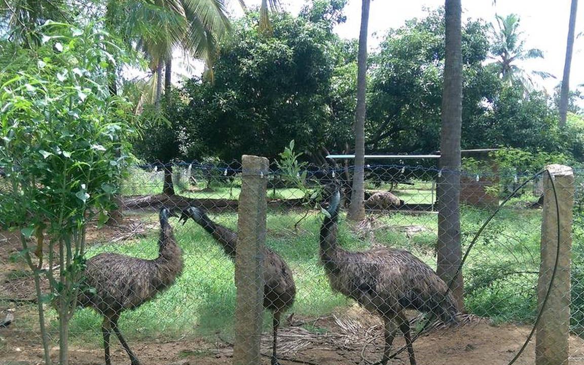 Photo of Others in Chittur