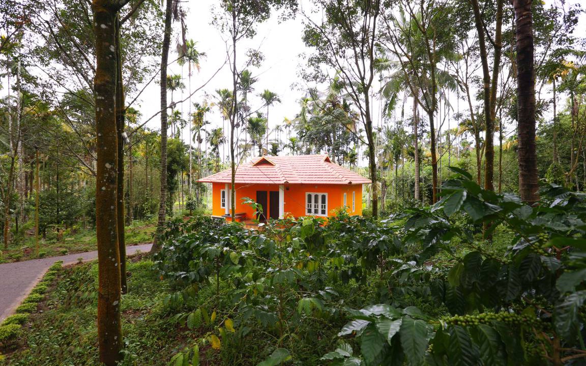 Photo of Others in Kalpetta